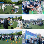 <b>常日里忙于讲授科研、管的教职工们</b>
